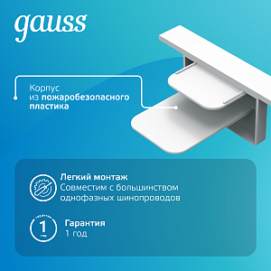 Заглушка Gauss для встраиваемого трекового шинопровода белый 1/100