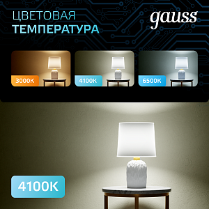 Лампа Gauss Шар 6.5W 550lm 4100K E27 LED 1/10/100