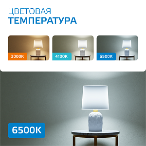 Лампа Gauss Elementary A70 25W 2150lm 6500K E27 LED 1/10/50