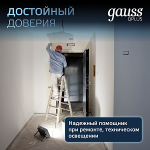 Прожектор Gauss Qplus 20W 2200lm 6500K 200-240V IP65 черный LED 1/20