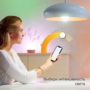 Лампа Gauss Smart Home С37 5W 470lm 2700К Е14 диммируемая LED 1/10/40