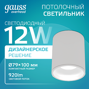 Светильник Gauss Overhead накл цил 12W 920lm 4100K 170-240V IP20 79*100мм белый LED 1/30
