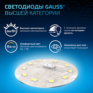 Лампа Gauss G125 22W 1900lm 6500K E27 LED 1/10