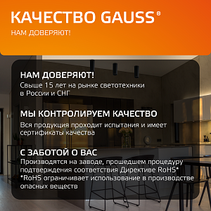 Светильник Gauss Overhead накл цил 12W 900lm 3000K 170-240V IP20 79*200мм черный LED 1/10