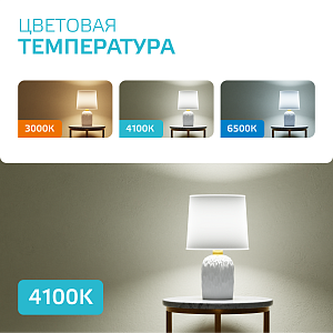 Лампа Gauss Elementary R63 8W 650lm 4100K Е27 LED 1/10/50