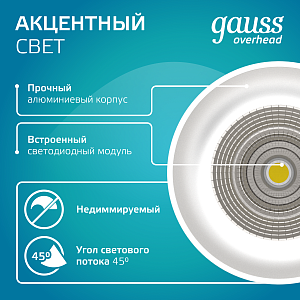 Светильник Gauss Overhead подвесной цилиндр 12W 920lm 4100K 170-240V IP20 79*200мм белый LED 1/10