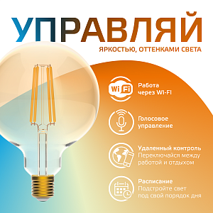 Лампа Gauss Smart Home Filament G95 6,5W 720lm 2000-5500К E27 изм.цвет.темпр.+диммирование LED 1/40