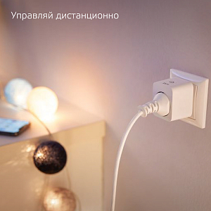 Сетевой переходник (Умная розетка) Gauss Smart Home 2300W 207-253V 10А IP20 c заземлением 1/6