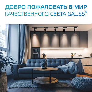 Шинопровод Gauss встраиваемый 2м черный (с коннектором для питания и заглушкой) 1/10