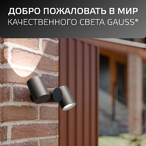 Светильник садово-парковый Gauss Sonata настенный архитектурный 2*35W, 2*GU10, 221*155*70мм, 170-240V / 50Hz, IP54 (1/12)