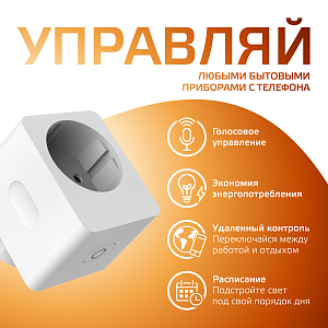 Сетевой переходник (Умная розетка) Gauss Smart Home 2300W 207-253V 10А IP20 c заземлением 1/6