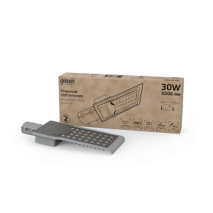 Светильник Уличный Gauss LED Avenue IP65 316*130*57 30W 3000lm 5000K 190-250V КСС "Ш" 1/20
