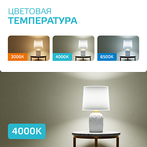 Лампа Gauss Basic Шар 13W 1200lm 4000K E27 LED 1/10/100