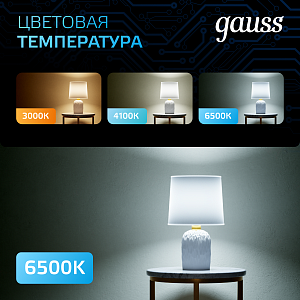 Лампа Gauss A60 12W 1200lm 6500K E27 LED 1/10/50