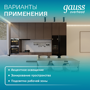 Светильник Gauss Basic, накладной, под лампу GU5.3, белый 1/20/60