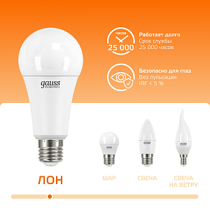 Лампа Gauss Elementary A67 30W 2320lm 3000K E27 LED 1/10/50