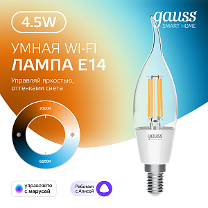 Лампа Gauss Smart Home Filament СF35 4,5W 495lm 2000-6500К E14 изм.цвет.темп.+дим. LED 1/10/40