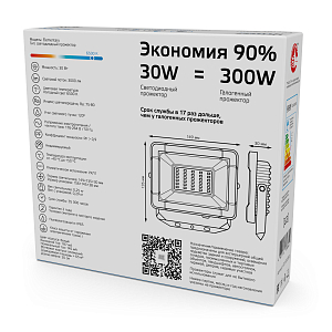 Прожектор светодиодный Gauss Elementary G2 30W 2700lm IP65 6500К белый 1/48