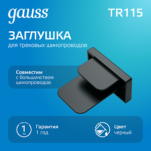 Заглушка Gauss для трекового шинопровода черный 1/100