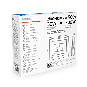 Прожектор светодиодный Gauss Elementary G2 30W 2700lm IP65 6500К черный 1/48