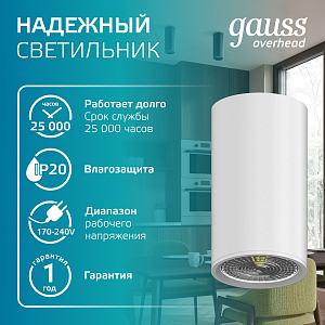 Светильник Gauss Basic, накладной, под лампу GU10, белый 1/20/60