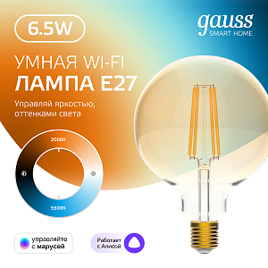 Лампа Gauss Smart Home Filament G95 6,5W 720lm 2000-5500К E27 изм.цвет.темпр.+диммирование LED 1/40