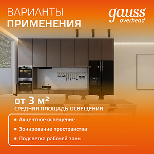 Светильник Gauss Overhead накл цил 12W 900lm 3000K 170-240V IP20 79*200мм черный LED 1/10