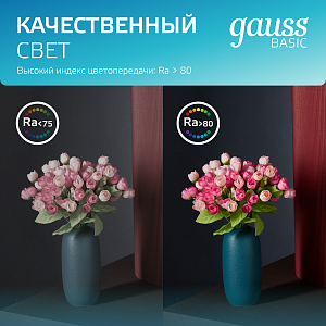 Светильник Gauss Basic Downlight круг 5W 400lm 4000K 185-250V IP54 90*44 белый LED 1/40