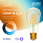 Лампа Gauss Smart Home Filament ST64 6,5W 720lm 2000-5500К E27 изм.цвет.темпр.+дим. LED 1/10/40