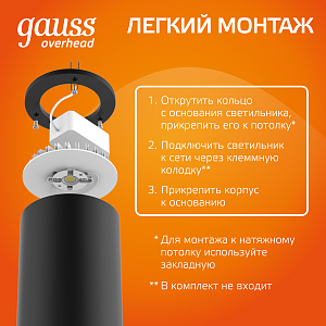 Светильник Gauss Overhead накл цил 12W 900lm 3000K 170-240V IP20 79*200мм черный LED 1/10/30