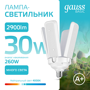 Лампа Gauss Basic 30W 2900lm 4000K E27 Клевер-4 LED 1/20