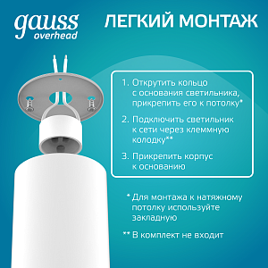 Светильник Gauss Basic, накладной, под лампу GU10, белый 1/20/60