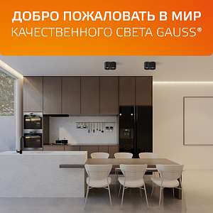 Светильник Gauss Overhead накладной двойной цилиндр 24W 1600lm 3000K 170-240V IP20 180*100мм белый LED 1/10