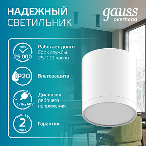 Светильник Gauss Overhead накл цил 6W 420lm 4100K 170-240V IP20 68*75мм белый с расс LED 1/30