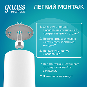 Светильник Gauss Basic, накладной, под лампу GU5.3, белый 1/20/60