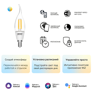 Лампа Gauss Smart Home Filament СF35 4,5W 495lm 2000-6500К E14 изм.цвет.темп.+дим. LED 1/10/40