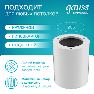 Светильник Gauss Overhead накл цил 12W 920lm 4100K 170-240V IP20 79*100мм белый LED 1/30