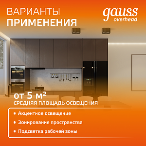 Светильник Gauss Overhead накладной двойной цилиндр 24W 1600lm 3000K 170-240V IP20 180*100мм белый LED 1/10