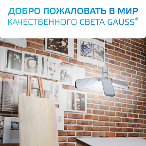 Лампа Gauss Basic 30W 2900lm 4000K E27 Клевер-4 LED 1/20