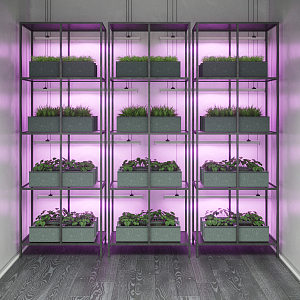 Светильник Gauss Fito для растений 12W 350lm 175-265V IP20 865*25*37мм, фиолет спектр LED 1/25