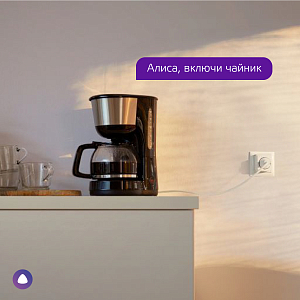 Сетевой переходник (Умная розетка) Gauss Smart Home 2300W 207-253V 10А IP20 c заземлением 1/6