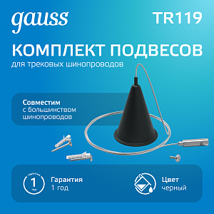 Комплект подвесов для трековых шинопроводов Gauss, 1шт, цвет черный 1/50