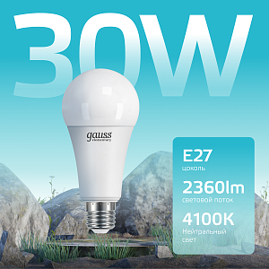 Лампа Gauss Elementary A67 30W 2360lm 4100K E27 LED 1/10/50